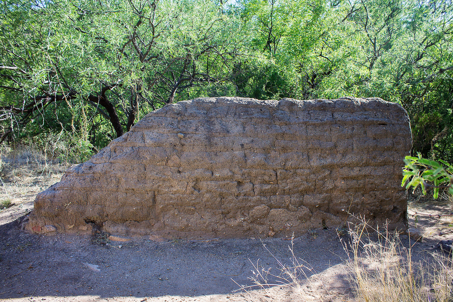 Madera Canyon White House wall